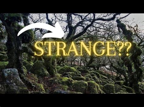 Enchanted by Follyboo's Strange Magic: A Surreal Adventure